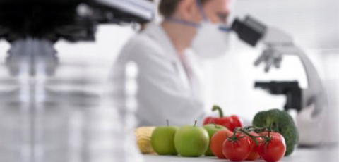 Qué servicios ofrecemos Riaño Villalón. Máxima calidad y garantias