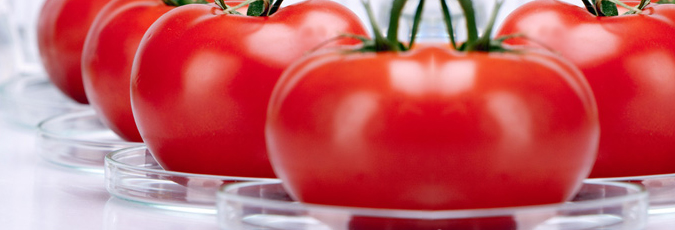 Ria&ntilde;o Villal&oacute;n - M&aacute;xima calidad